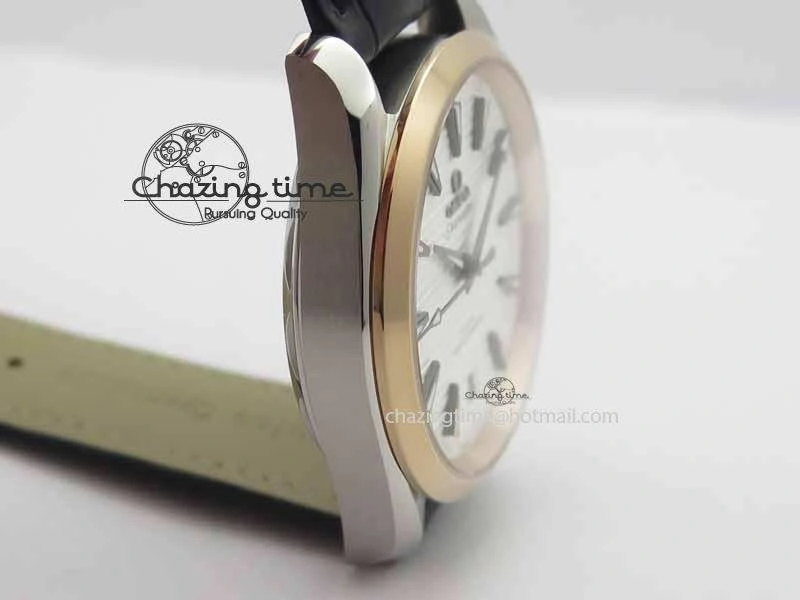 2017 Aqua Terra SS RG XF Best Edition White Textured Dial On Black Leather Strap A8900