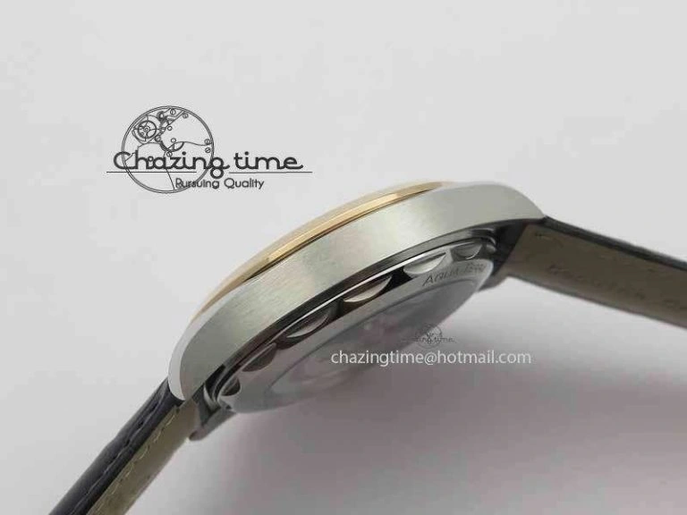2017 Aqua Terra SS RG XF Best Edition White Textured Dial On Black Leather Strap A8900