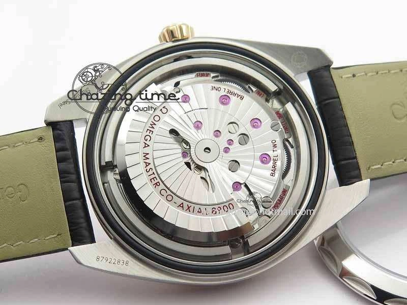 2017 Aqua Terra SS RG XF Best Edition White Textured Dial On Black Leather Strap A8900