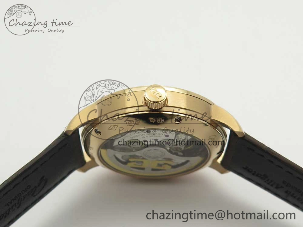 Excellence Panorama Date Moon Phase RG ETCF Gray Dial on Brown Leather Strap A100