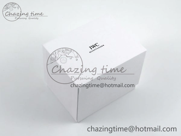 IWC BLACK TRAVEL BOX