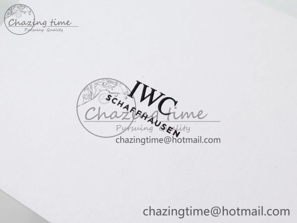 IWC BLACK TRAVEL BOX