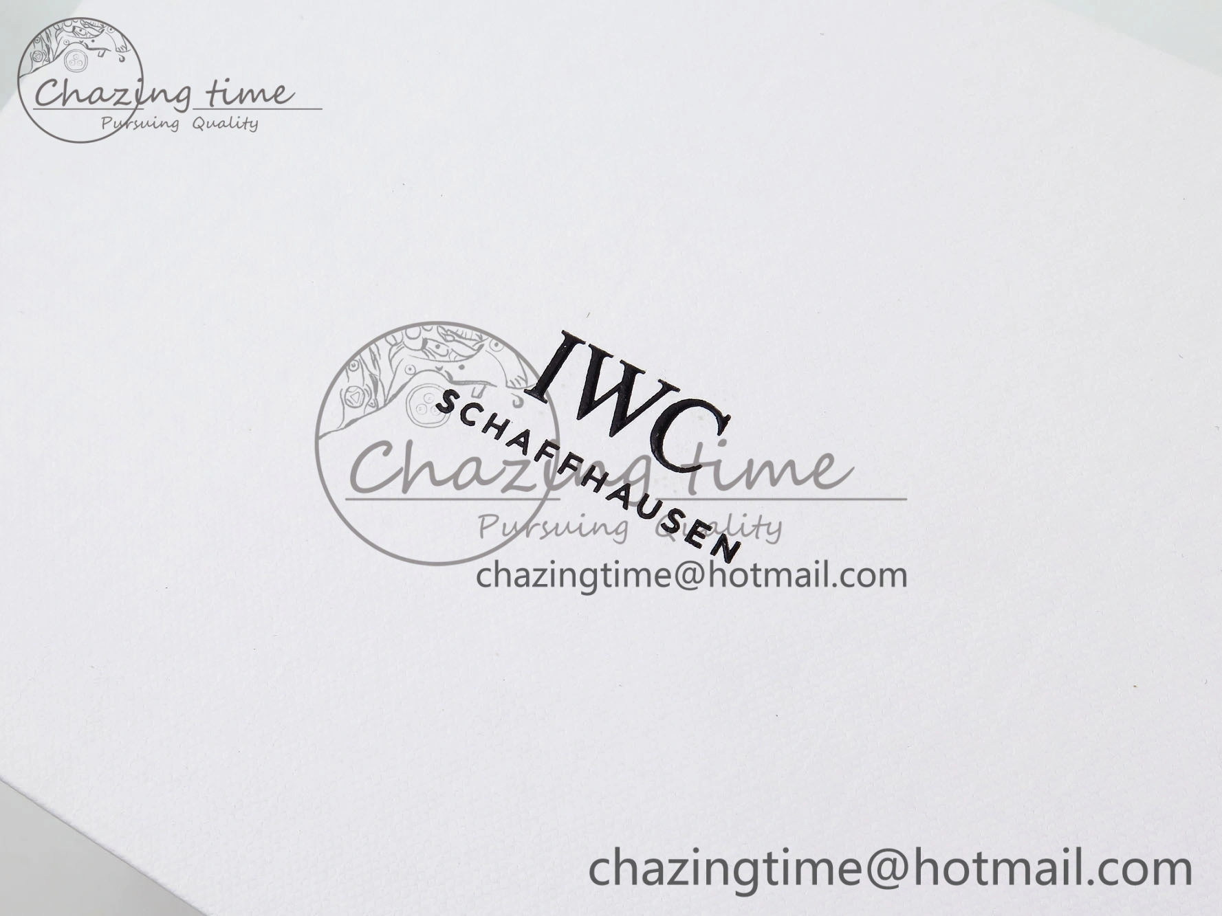 IWC BLACK TRAVEL BOX
