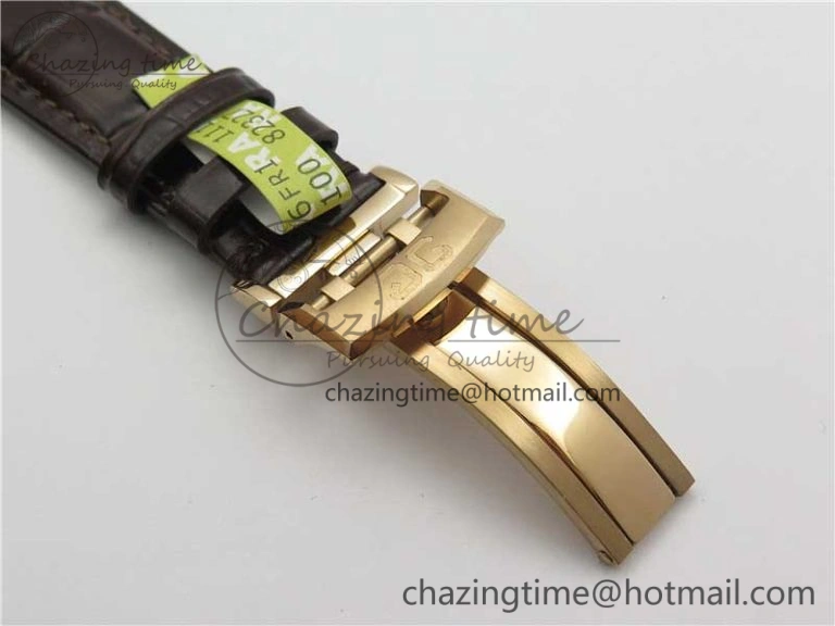 PanoInverse 42mm RG TZF Best Edition Silver Black Dial on Brown Leather Strap A23J