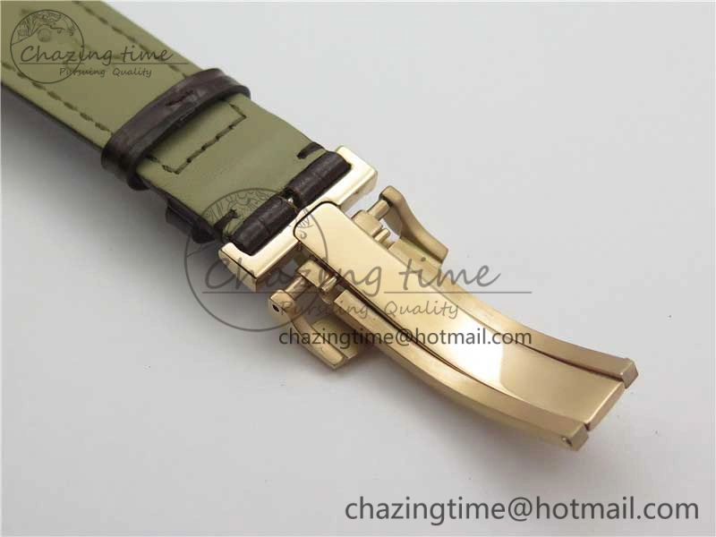 PanoInverse 42mm RG TZF Best Edition Silver Black Dial on Brown Leather Strap A23J