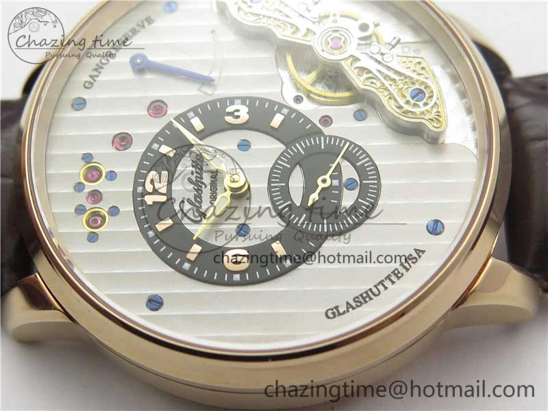 PanoInverse 42mm RG TZF Best Edition Silver Black Dial on Brown Leather Strap A23J