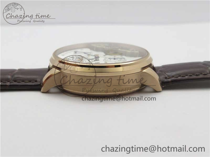 PanoInverse 42mm RG TZF Best Edition Silver Black Dial on Brown Leather Strap A23J