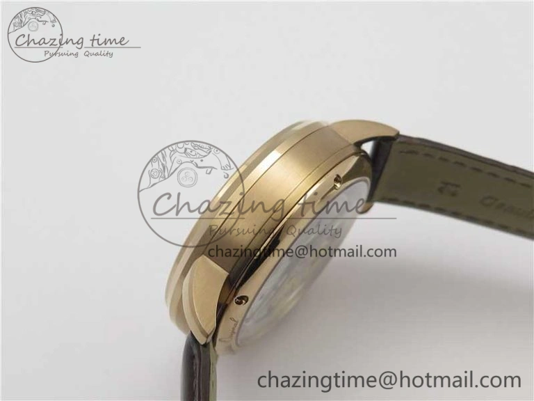 PanoInverse 42mm RG TZF Best Edition Silver Black Dial on Brown Leather Strap A23J
