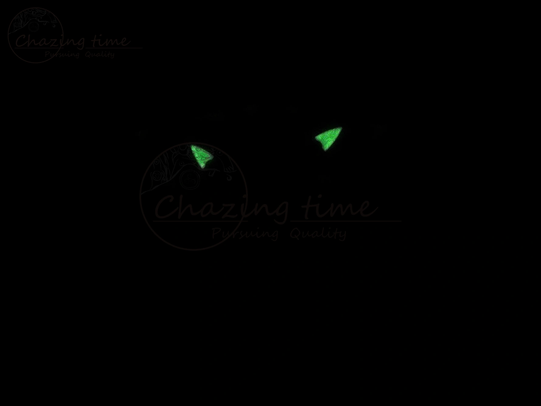RM026 Green Transparent Tourbillon RM Best Edition Panda Skeleton Dial on Translucent Rubber Strap